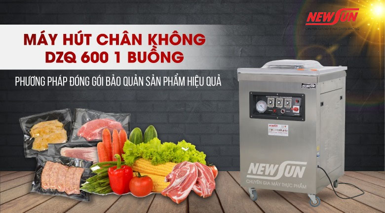 Máy hút chân không giá rẻ 1 buồng DZQ 600 