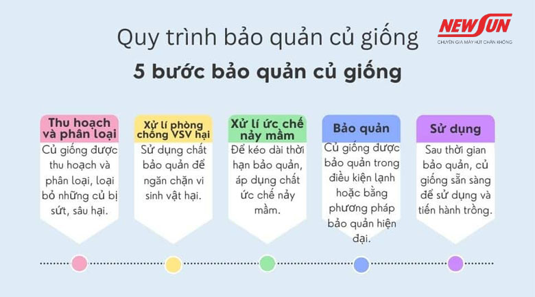 quy trình bảo quản củ giống gồm bao nhiêu bước?