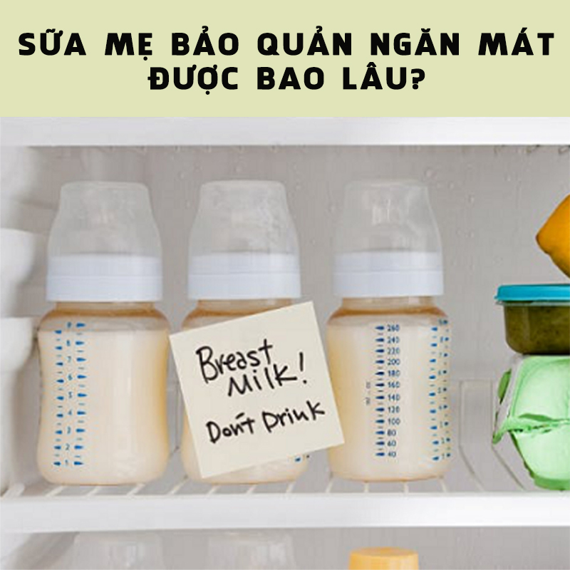 Sữa mẹ bảo quản ngăn mát được bao lâu? Những điều cần lưu ý