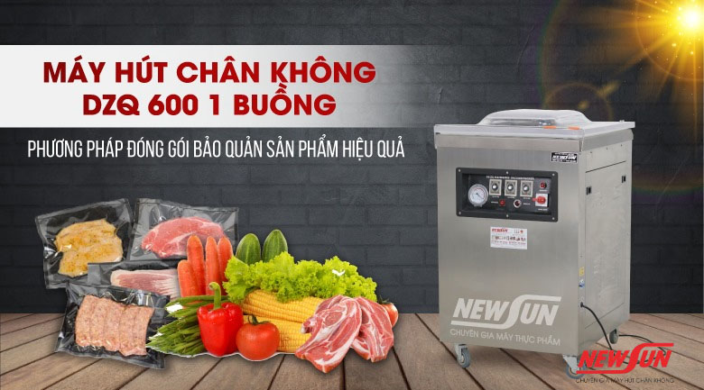 Máy ép chân không công nghiệp 1 buồng DZQ600