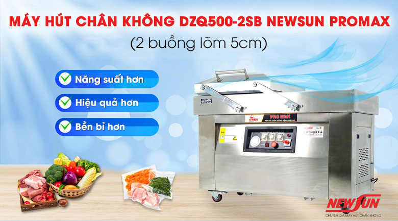 Máy hút chân không công suất lớn DZQ500-2SB PROMAX