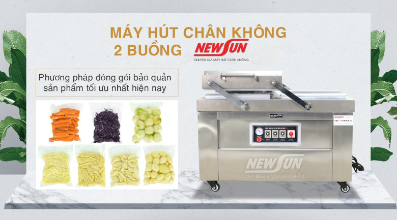 Máy hút chân không 2 buồng