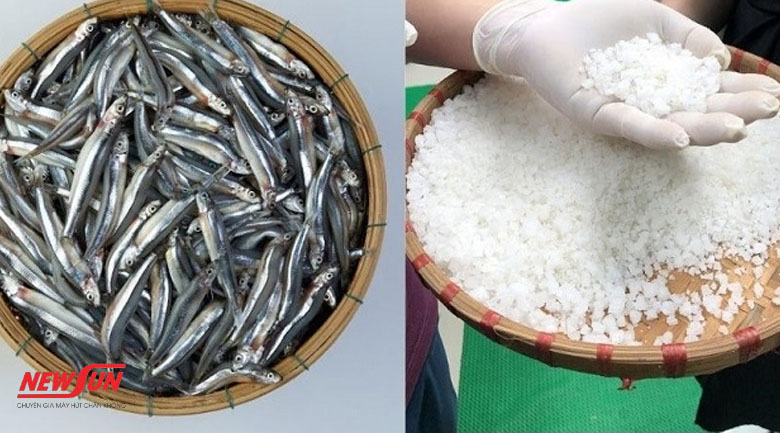 Hướng dẫn cách bảo quản nước mắm tại nhà lâu không bị hỏng 7 bảo quản nước mắm, cách làm