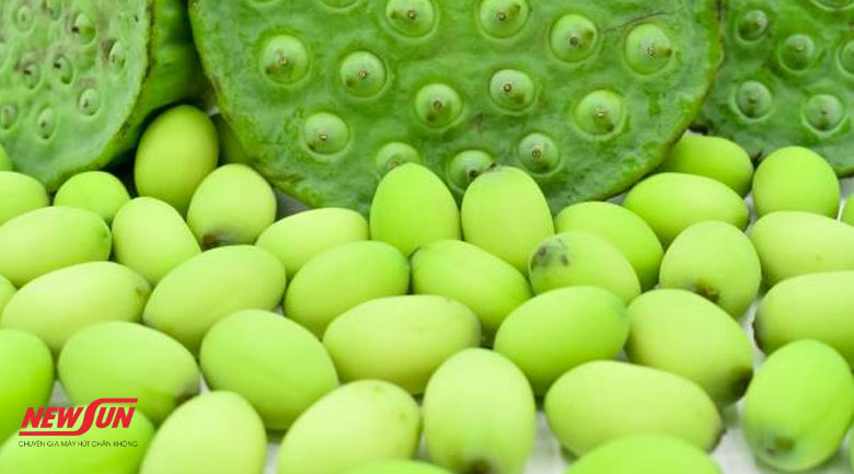 cách bảo quản hạt sen tươi, màu sắc