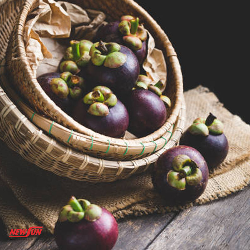 bảo quản măng cụt, ảnh đại diện