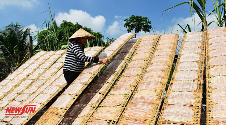 Hướng dẫn 4 cách bảo quản bánh tráng phơi sương đơn giản 10 cách bảo quản bánh tráng phơi sương