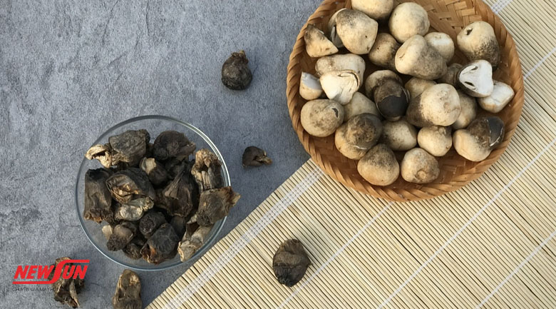 Hướng dẫn 3 cách bảo quản nấm rơm đơn giản tại nhà 21 Cách bảo quản nấm rơm, phơi khô
