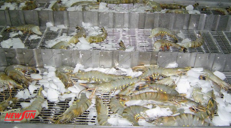 Hướng dẫn cách bảo quản tôm tươi trong ngăn đá hiệu quả 11 Cách bảo quản tôm tươi trong ngăn đá