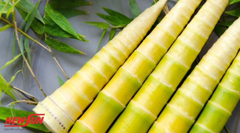 Hướng dẫn cách bảo quản măng tươi được lâu, không bị hỏng 16 cách bảo quản măng tươi, lưu ý