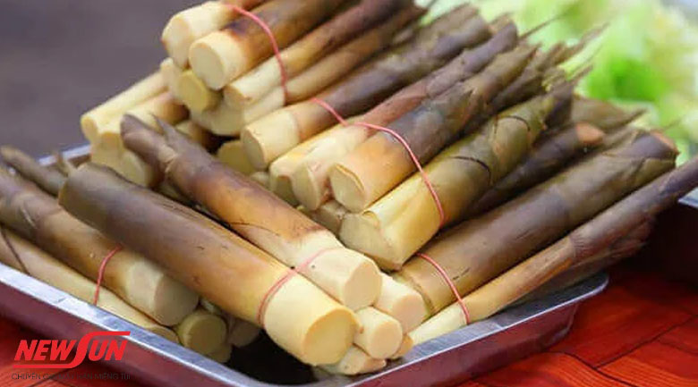 Hướng dẫn cách bảo quản măng tươi được lâu, không bị hỏng 9 cách bảo quản măng tươi