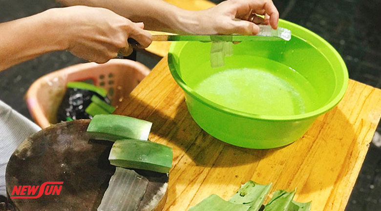 Hướng dẫn 4 cách bảo quản nha đam đã sơ chế hiệu quả hiện nay 9 Cách bảo quản nha đam đã sơ chế, cách làm
