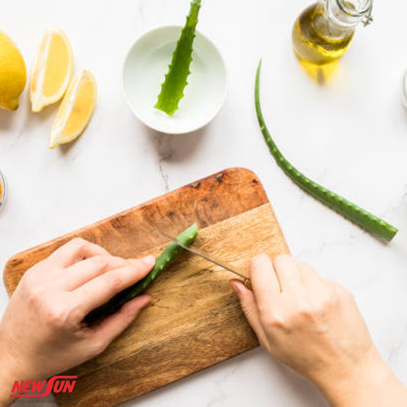 Cách bảo quản nha đam đã sơ chế, ảnh đại diện
