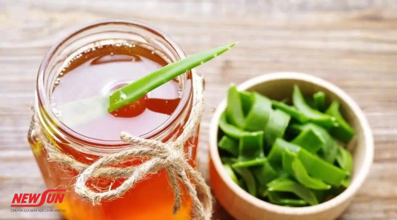 Hướng dẫn 4 cách bảo quản nha đam đã sơ chế hiệu quả hiện nay 12 Cách bảo quản nha đam đã sơ chế, ngâm mật ong
