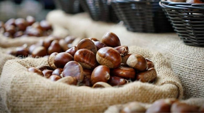 Hướng dẫn cách bảo quản hạt dẻ thơm ngon, không bị mốc 7 cách bảo quản hạt dẻ sống