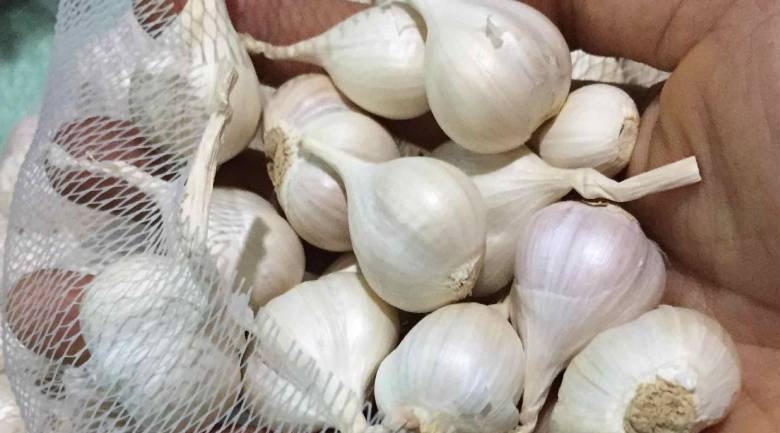 cách bảo quản hành tỏi khô, chọn